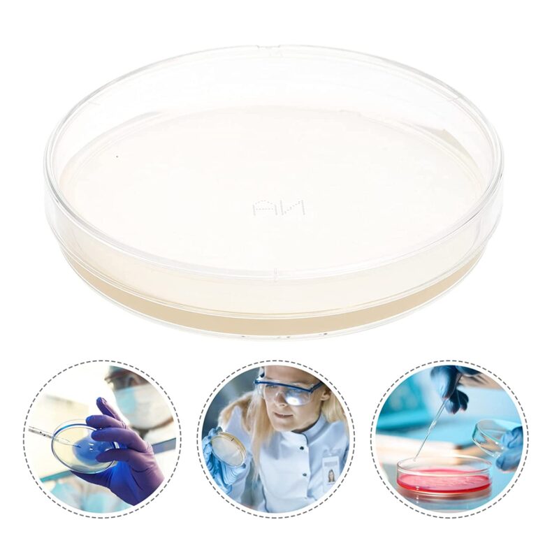 Silicone Petri Dish (3)